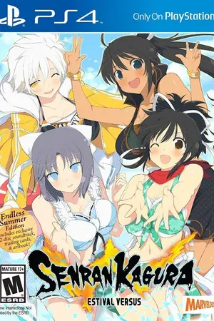 ปกนิยาย Senran Kagura Estival Versus