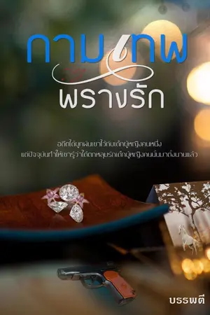 ปกนิยาย