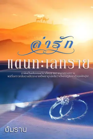 ปกนิยาย