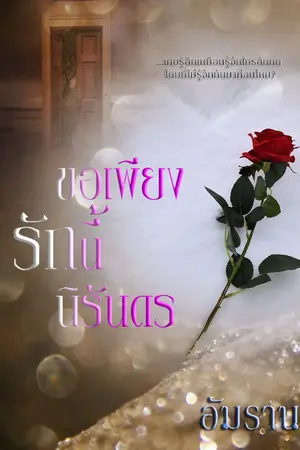 ปกนิยาย