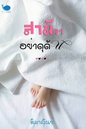 ปกนิยาย [จบ] สามีขา อย่าดุดัน