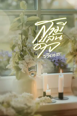 ปกนิยาย สามีปล้นใจ