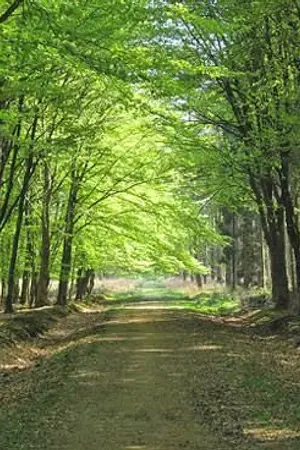 ปกนิยาย เมียผมเป็นผู้กอง kaisoo