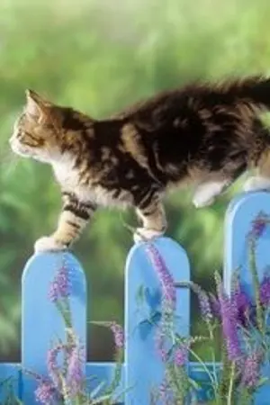 ปกนิยาย แปลกูเกิ้ลอ่านเอง -- Cute Beast Store No. 138