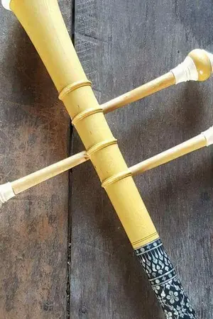 ปกนิยาย ทวนมุกไฟ