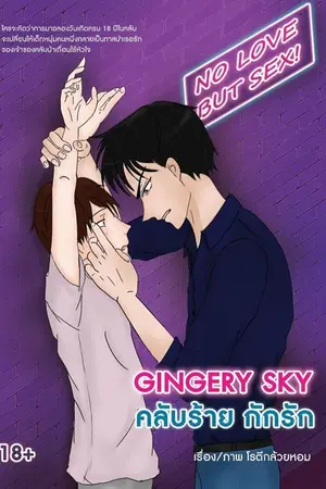ปกนิยาย