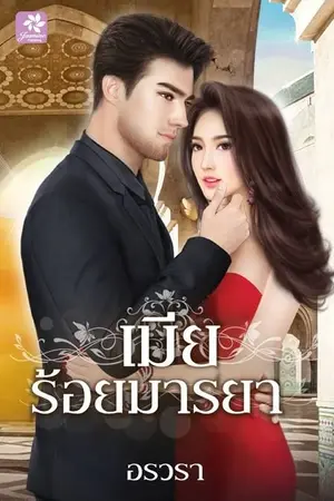 ปกนิยาย