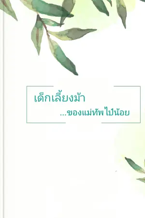 ปกนิยาย