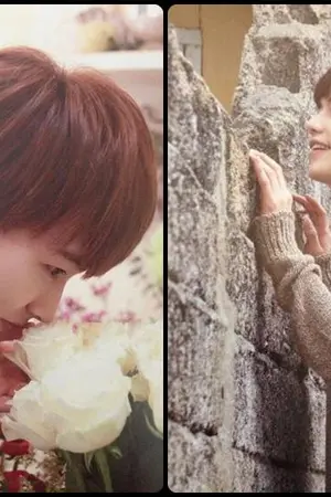 ปกนิยาย [Fic SJ]  Unloveable  [KyuMin] + Special