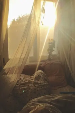 ปกนิยาย Wonderwall [Shinee : TRUEMIN ft.Kai Exo]