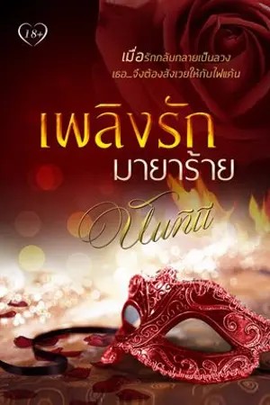 ปกนิยาย