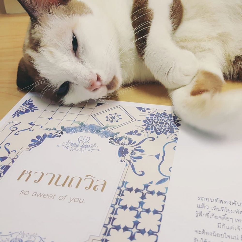 รูปเล่มของหวานถวิล