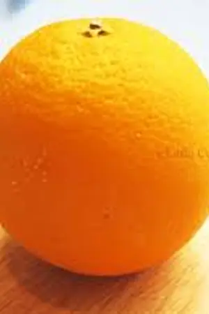 ปกนิยาย มหาลัย - ซิทคอม