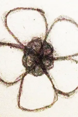 ปกนิยาย อวลฝัน (Yaoi)