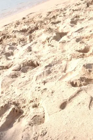 ปกนิยาย Full : เติมรักให้เต็มใจ (YAOI)