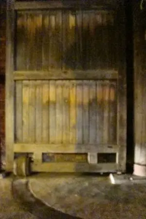 ปกนิยาย Worry ไม่ว่าคุณจะเป็นใคร [Omegaverse] (Yaoi)