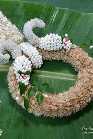 ปกนิยาย เจ้าพวงพุดกรองแก้ว