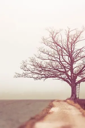 ปกนิยาย Secret of My Heart (Can I tell the truth?) - VKOOK