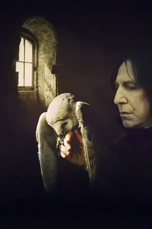 ปกนิยาย Fic : Harry potter Flashback SS/HP yaoi