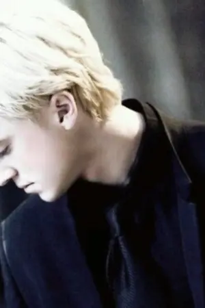 ปกนิยาย Fic : Harry Potter Revenge DM/HP Yaoi