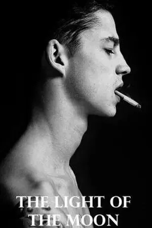 ปกนิยาย THE LIGHT OF THE MOON จันทราแห่งรัตติกาล [Aster x Tawa][Light Set]