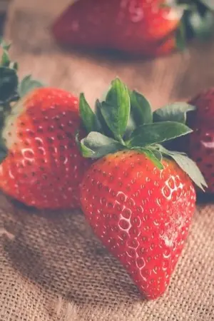 ปกนิยาย Myth of England  เทพนิยายรัก...ตำนานแวมไพร์