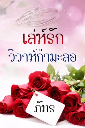 ปกนิยาย