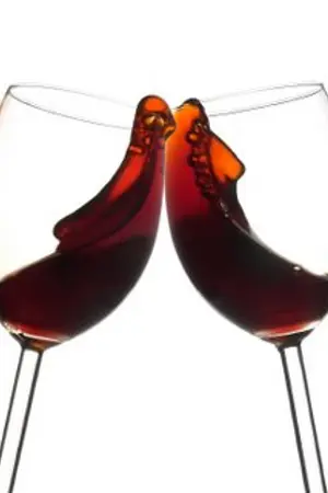 ปกนิยาย Way of Life, Wine of Love
