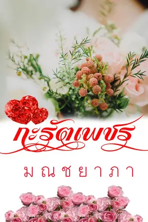 ปกนิยาย