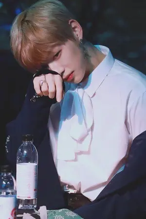 ปกนิยาย SWEET BUT PSYCHO ภาวะคลั่งเด็ก [FIC WANNA ONE, NIELONG, LINHOON 20+]