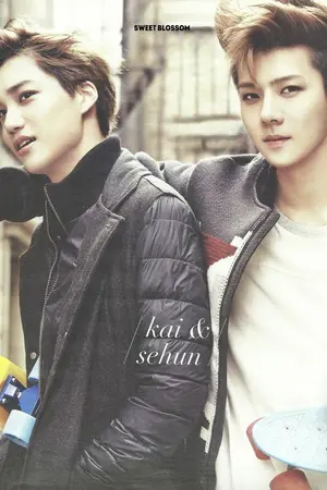 ปกนิยาย Ugly  Boys...ลูกเป็ดขี้เหร่  EXO  KAIHUN  CHANBEAK  KRISHAN