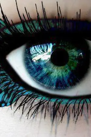 ปกนิยาย (Life of Butterfly)