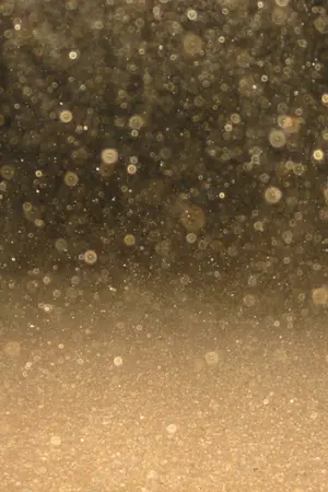 ปกนิยาย The Dust Rain ฝนธุลีพร่างพราย