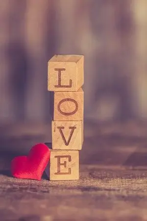 ปกนิยาย รักเธอสุดใจ เจ้านายที่รัก