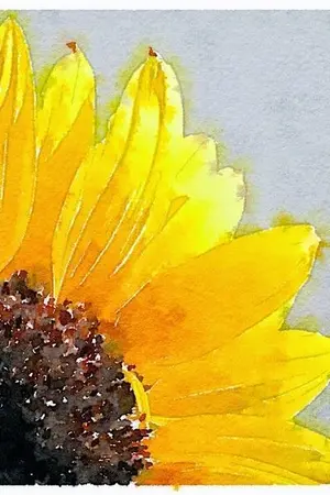 ปกนิยาย Chubby Bae ♥ | CHANBAEK