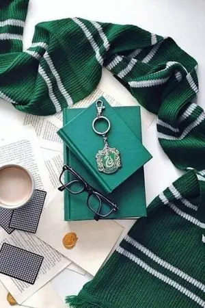 ปกนิยาย Harry Potter : The Impossible love (??XOC)