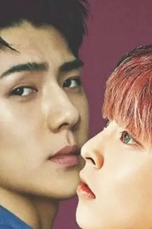 ปกนิยาย UPDATE! [EXO] The Warm cozy #ฟิคเพียงเรา [SEHUN X MINSEOK]