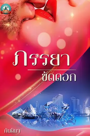 ปกนิยาย ภรรยาขัดดอก
