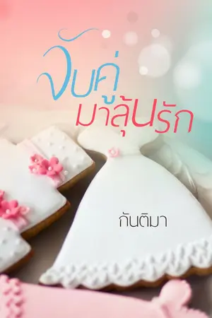 ปกนิยาย จับคู่มาลุ้นรัก