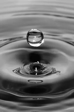 ปกนิยาย [END] Apologize (Nash x Kise)