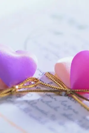 ปกนิยาย บันทึกเรื่องราวของความรัก