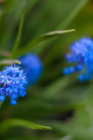 ปกนิยาย Just say something from my mind: แค่อยากเอ่ยความนัยให้เธอรู้