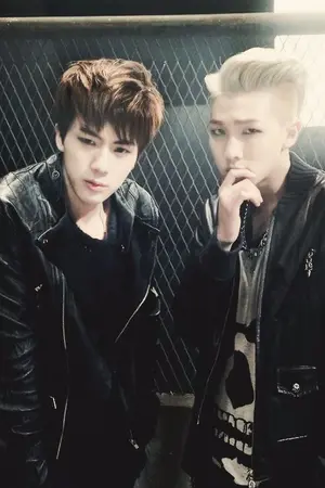 ปกนิยาย Princess (คิม ซอกจิน) NamJin BTS