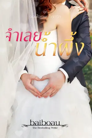 ปกนิยาย