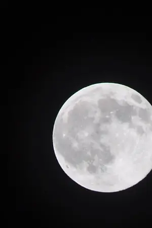 ปกนิยาย [GOT7] I love you to the MOON and back [MarkBam] #หมาป่ามาร์ค