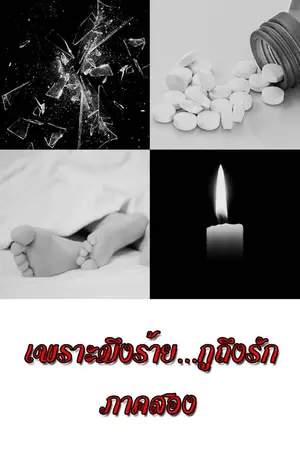 ปกนิยาย