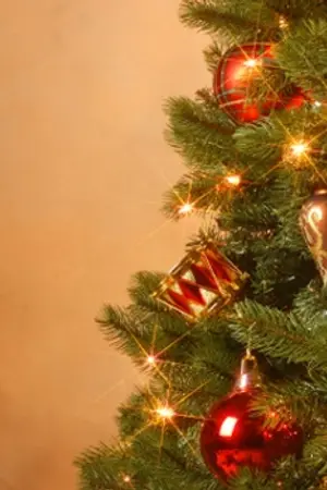 ปกนิยาย [short fictiion : KrisLay] ⁂ Mistletoe ⁂