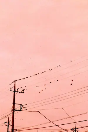 ปกนิยาย to the limbo and back (hunhan)