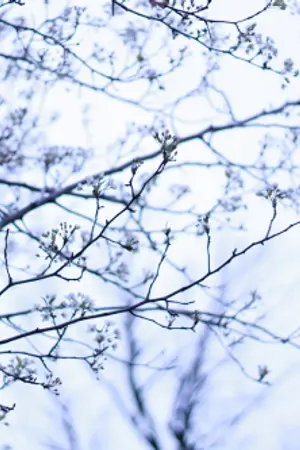 ปกนิยาย AFTERGLOW (HUNHAN)