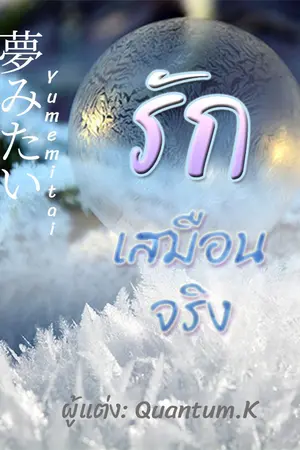 ปกนิยาย 夢みたい (YumeMitai) รักเสมือนจริง [จบ]